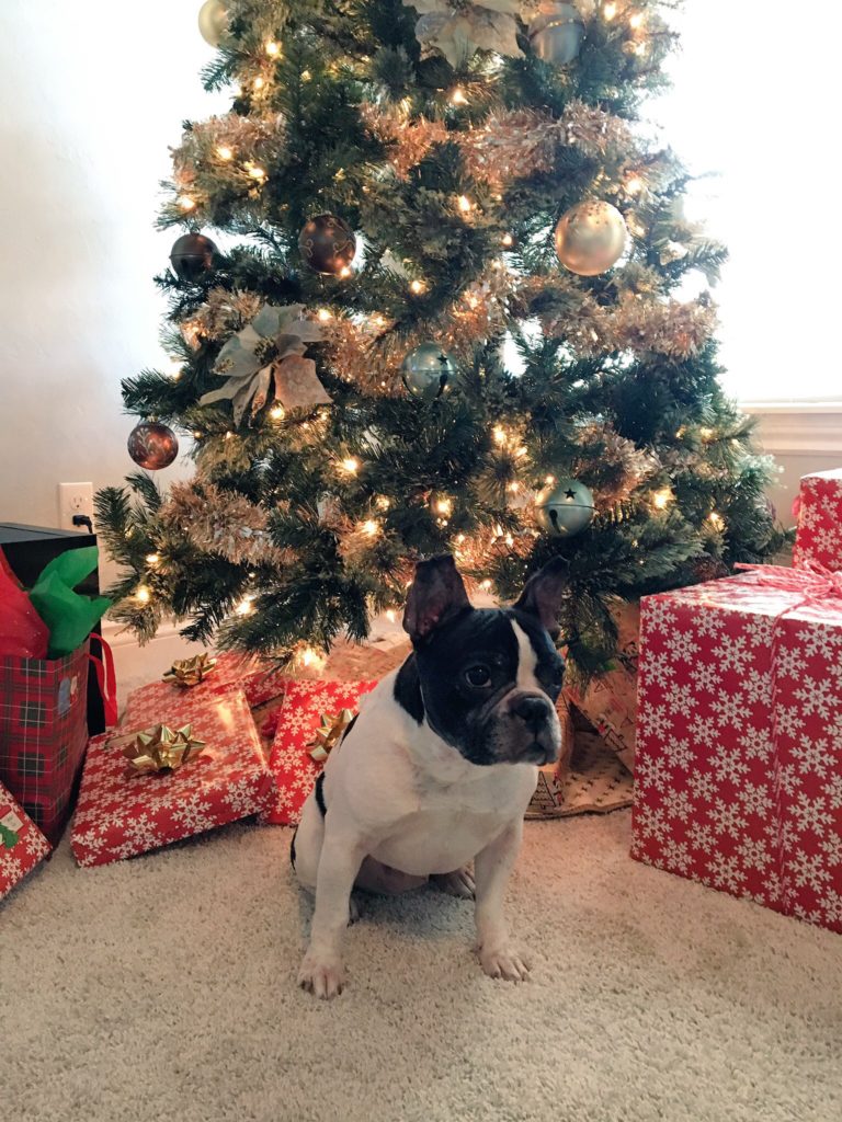 Itchy Frenchie Christmas