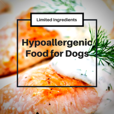 Hypoallergenic Food for Dogs - Itchy Frenchie