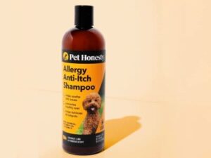 natural shampoo for dogs