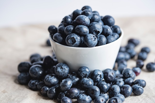 Blueberries toxic clearance to dogs