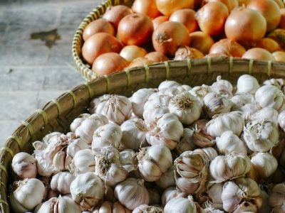 foods toxic to dogs-garlic
